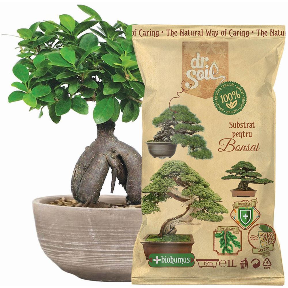 Substrat pentru bonsai Dr. Soil, 1 l