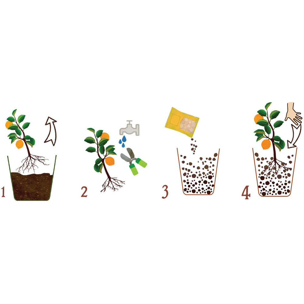 Substrat pentru citrice Dr. Soil, 1 l