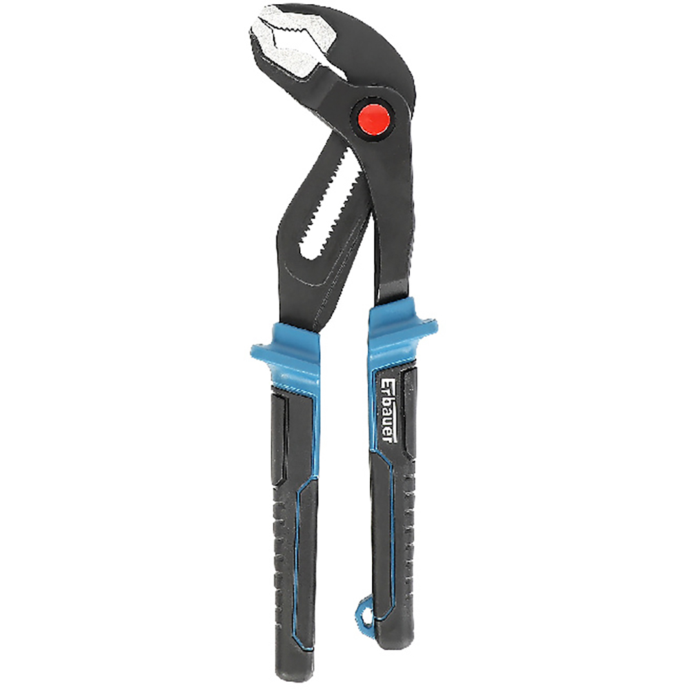 Cleste papagal ERBAUER, 30cm
