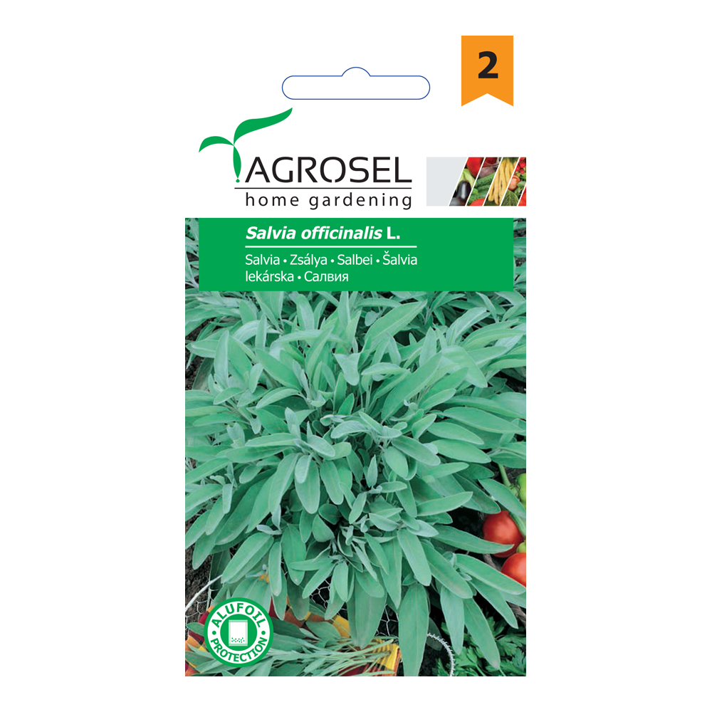 Seminte salvie AGROSEL, 4.35 g