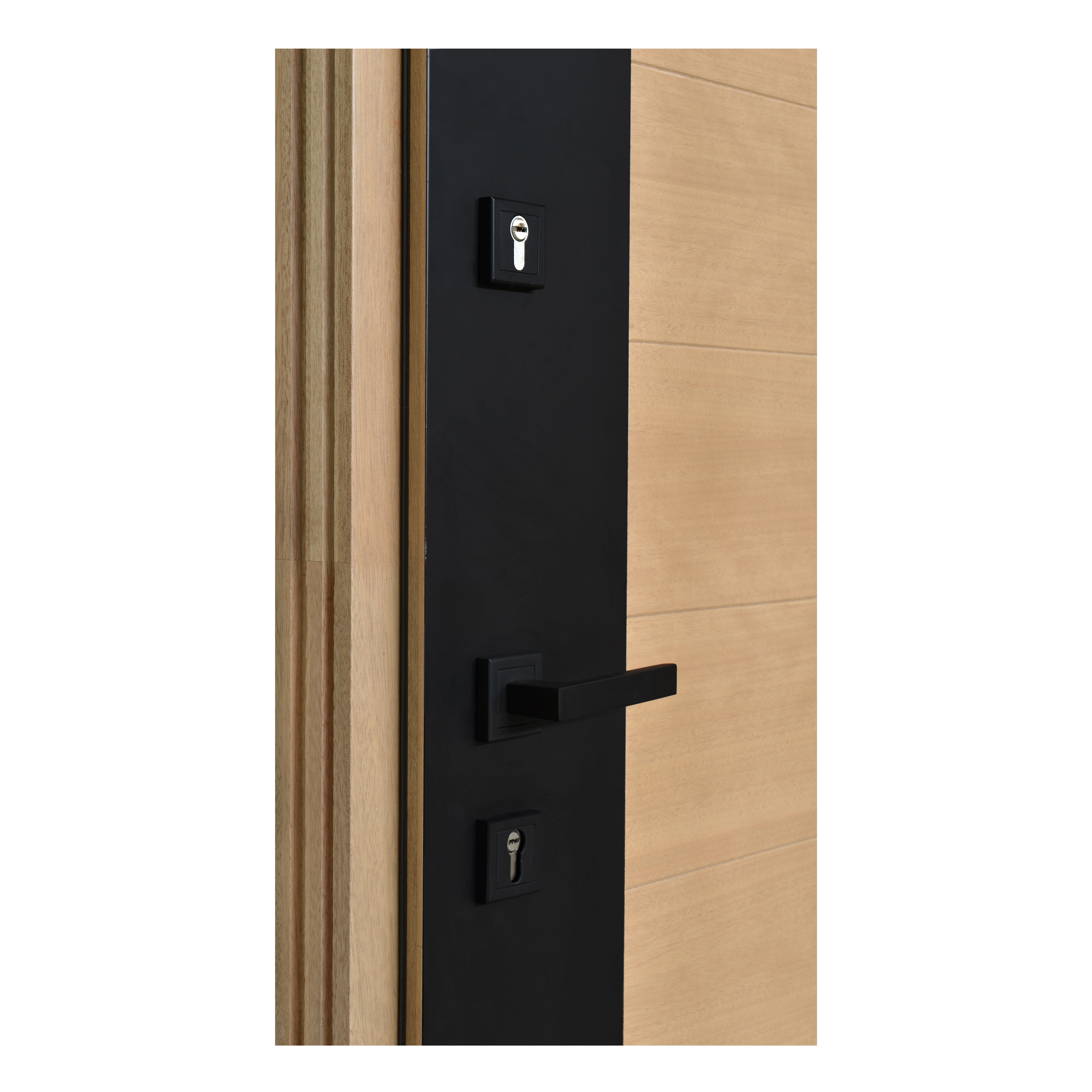 Usa exterior FORTIA Sassel, fara geam, dreapta, lemn, 88 x 205 cm, stejar