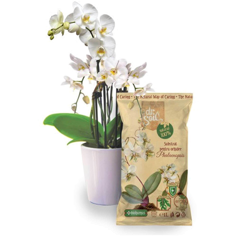 Substrat natural pentru orhidee Dr. Soil, 1 L