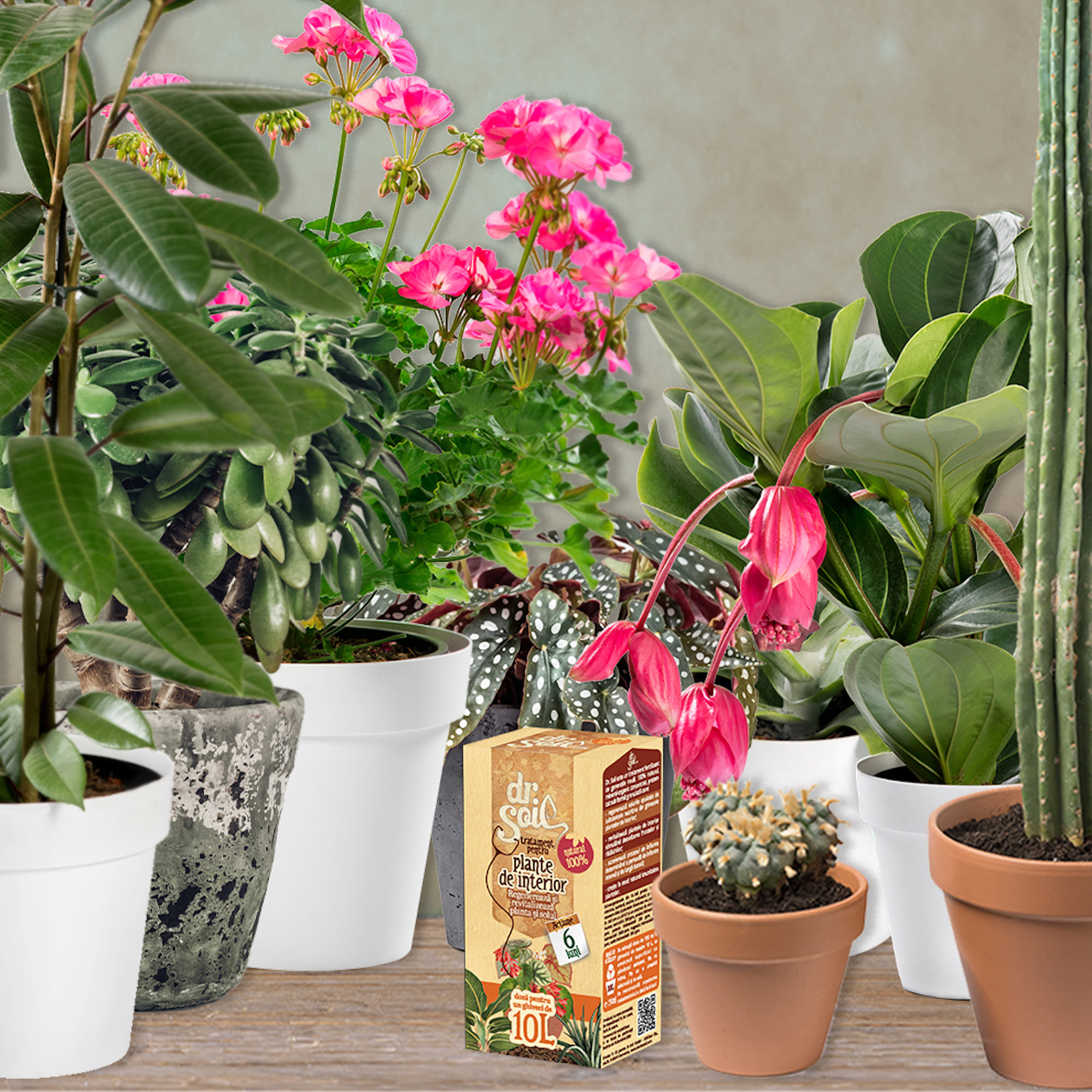 Tratament pentru plante de interior, 0.15 L Dr. Soil