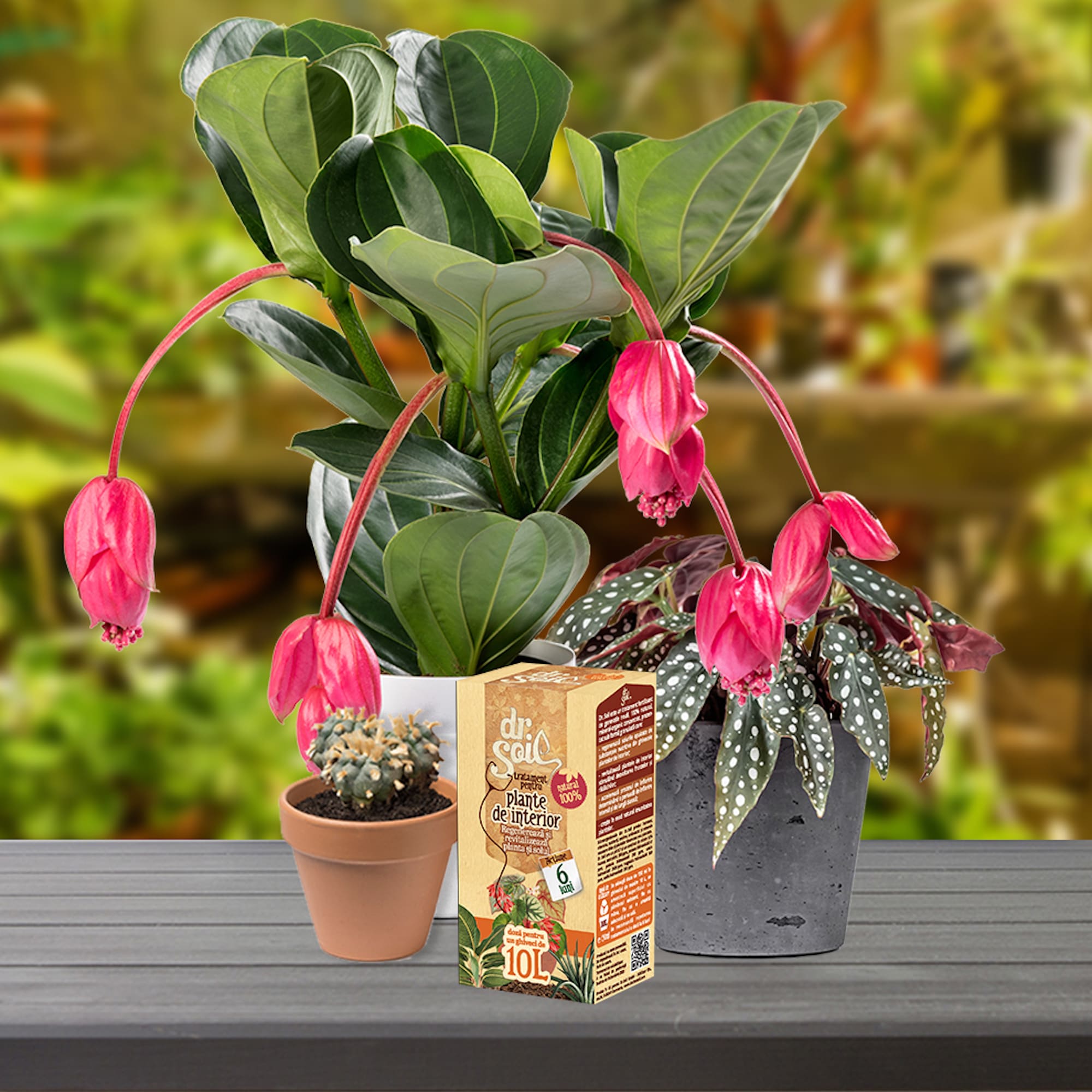Tratament pentru plante de interior, 0.15 L Dr. Soil