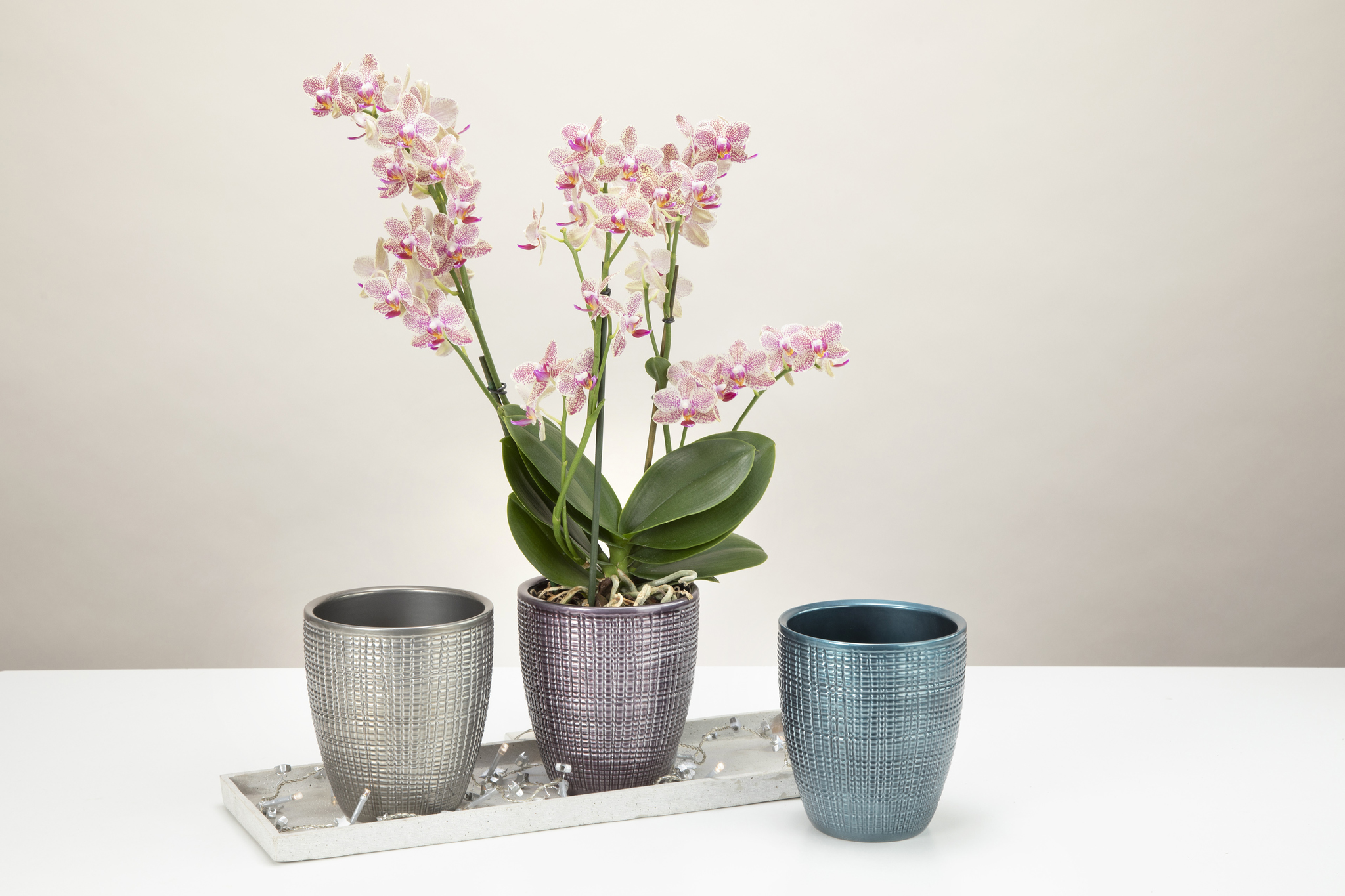 Ghiveci flori SCHEURICH, ceramica, D 15 cm, argintiu