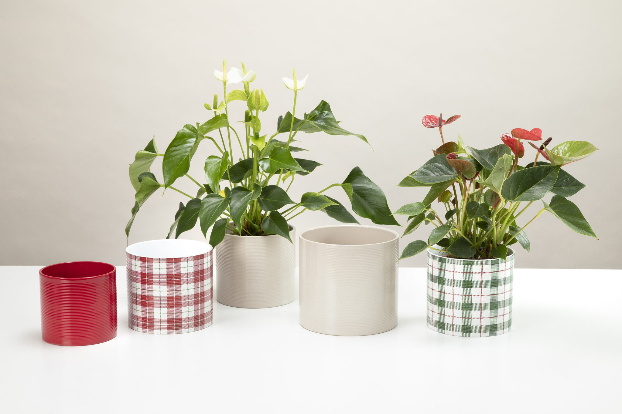 Ghiveci flori SCHEURICH Highland, ceramica, D 16 cm, rosu