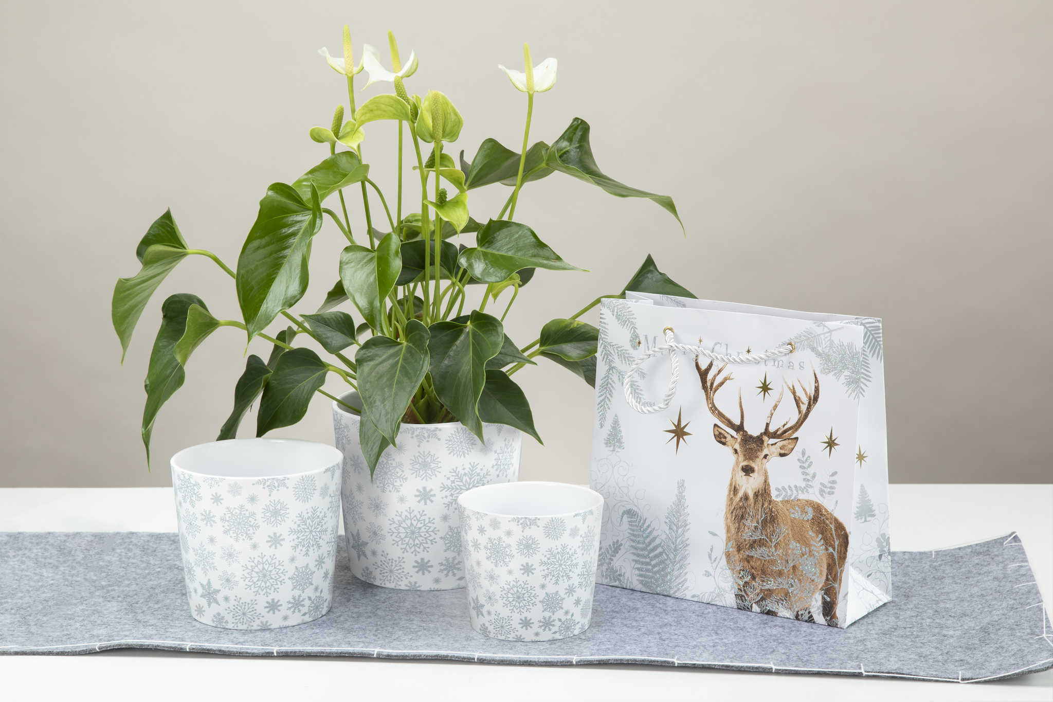 Ghiveci flori SCHEURICH, ceramica, D 11 cm, alb