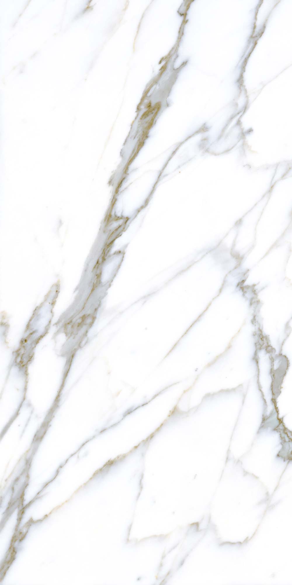 Gresie Interior/Exterior, Alb, Portelanata, 120 x 60 cm, suprafata 1,44 mp Kai Quarry
