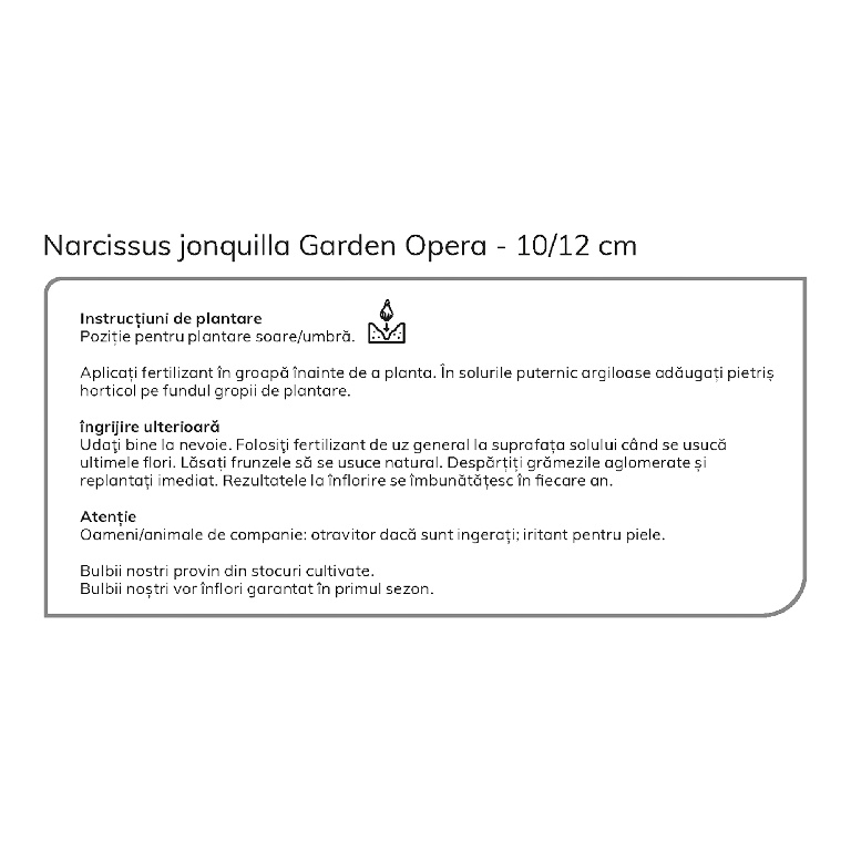 Bulbi Narcise Garden Opera, 6 bucati