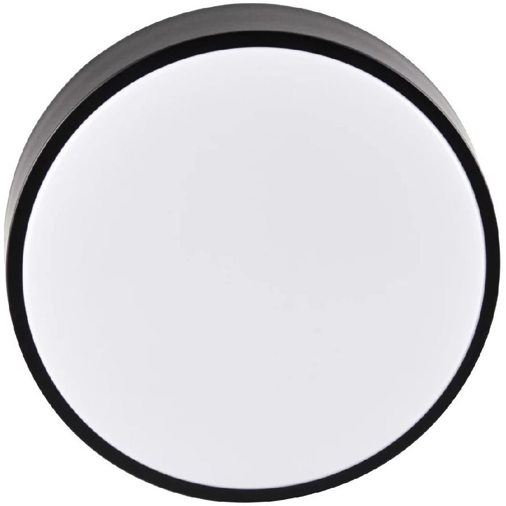 Plafoniera LED Rene 317445, 15W, 1600lm, negru