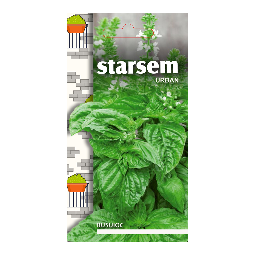 Busuioc  Starsem