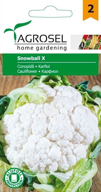 Conopida Snowball