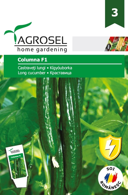 Castraveti lungi Columna F1