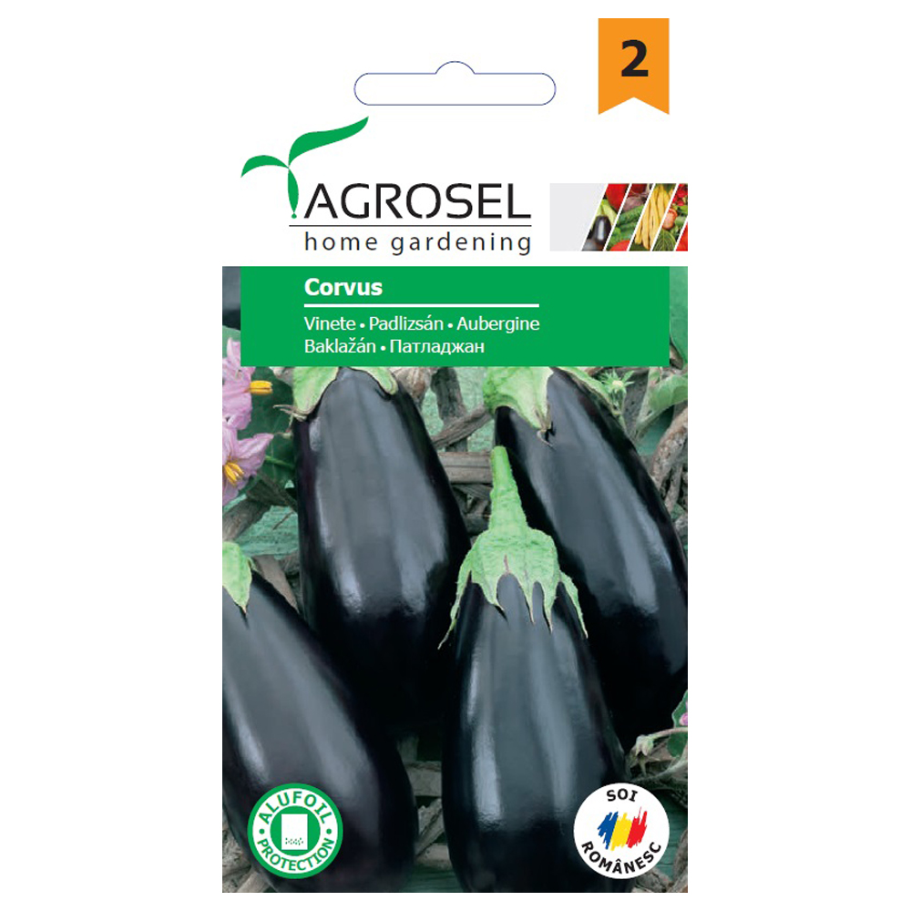 Vinete corvus