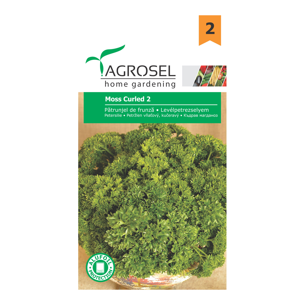Patrunjel de frunza Moss Curled 2   Agrosel