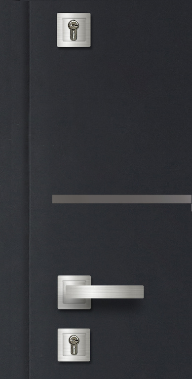 Usa exterior FORTIA Cecina, fara geam, stanga, metal, 88 x 205 cm, gri