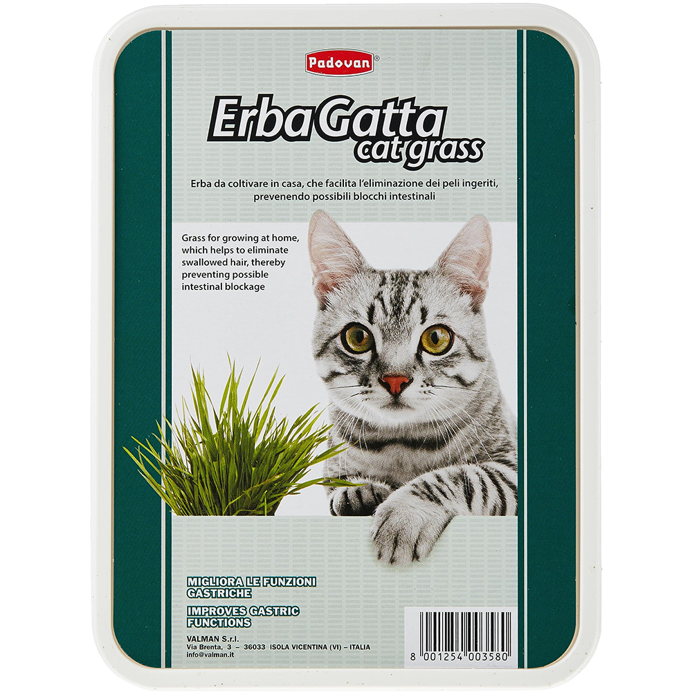 Supliment nutritiv pentru pisici PADOVAN Iarba pisicii, 140 g