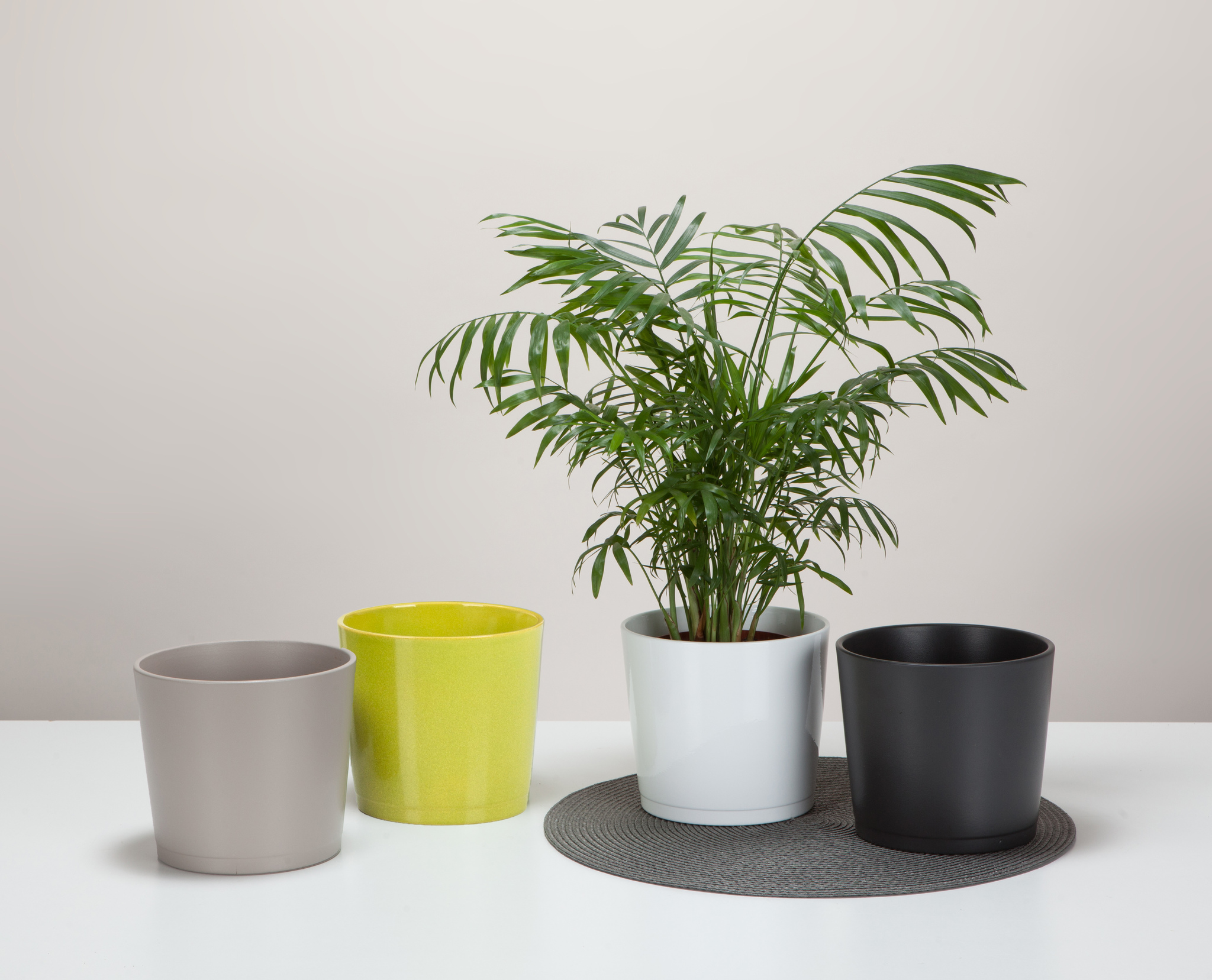 Ghiveci flori SCHEURICH, ceramica, D 15 cm, negru