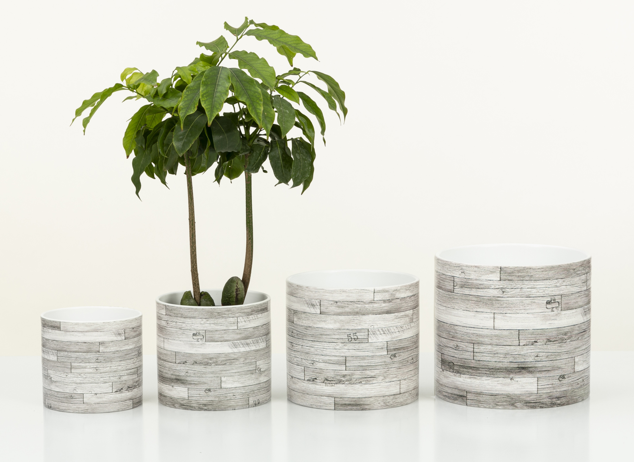 Ghiveci flori SCHEURICH Legno, D 14 cm, grej