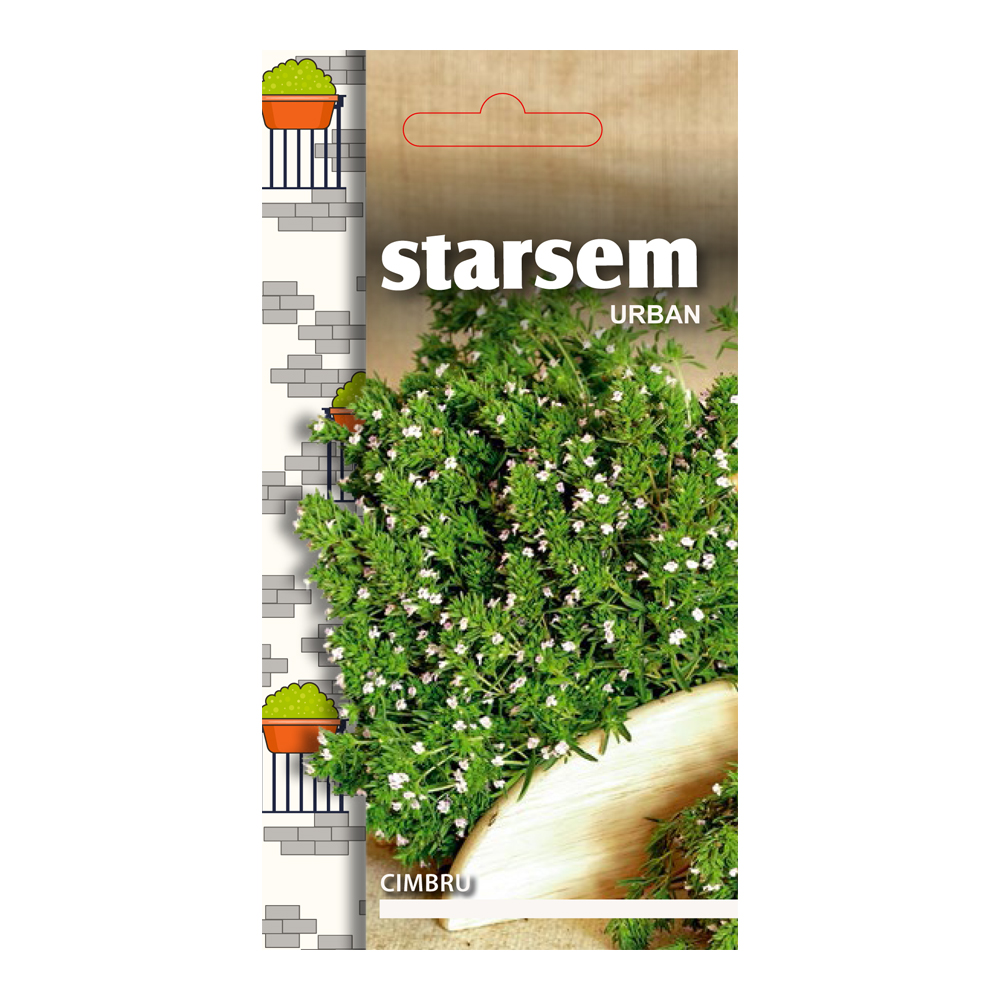 Cimbru  Starsem