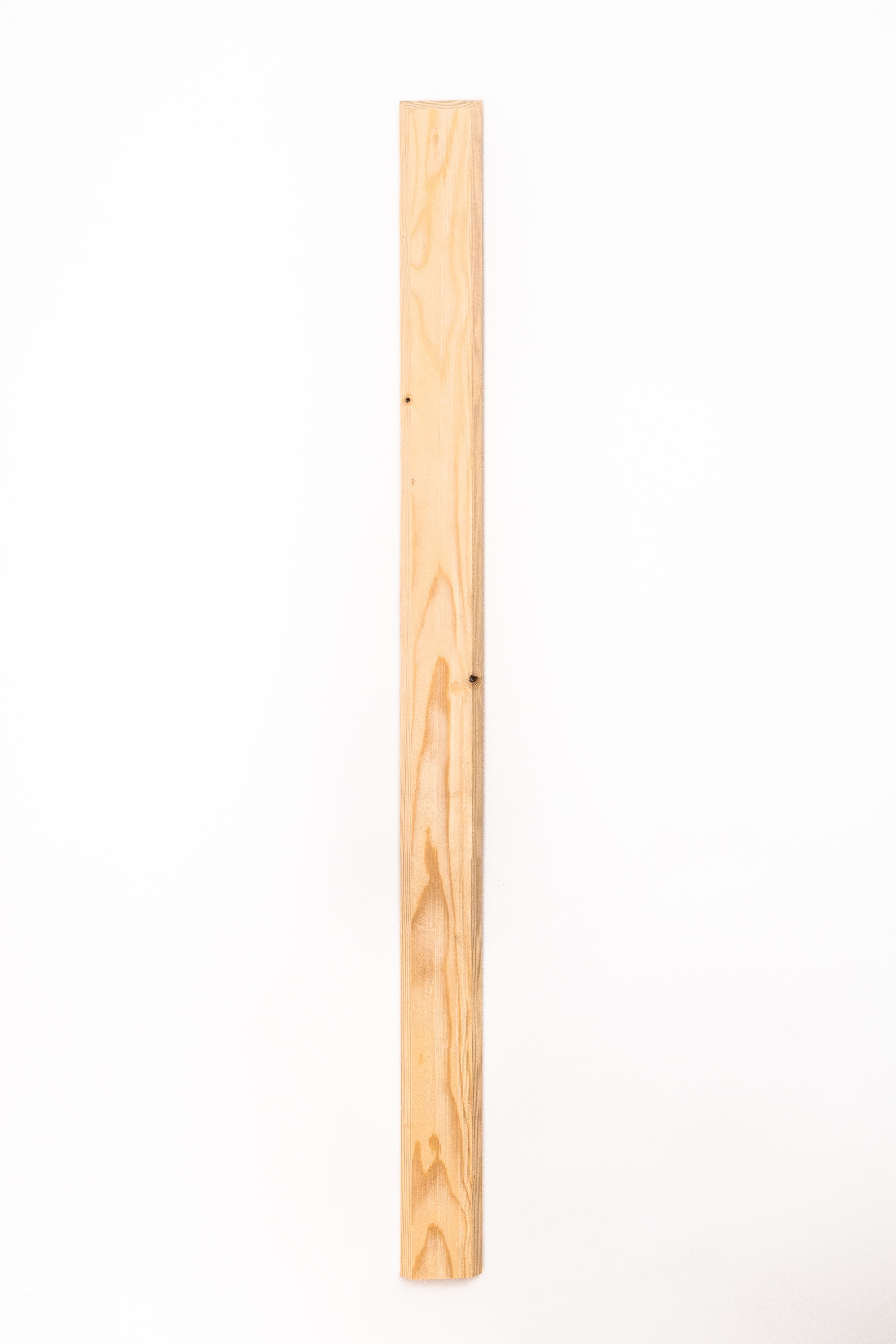 Elemente din sipca de lemn ptr gard, 1900X90X18 mm  Tomi 7