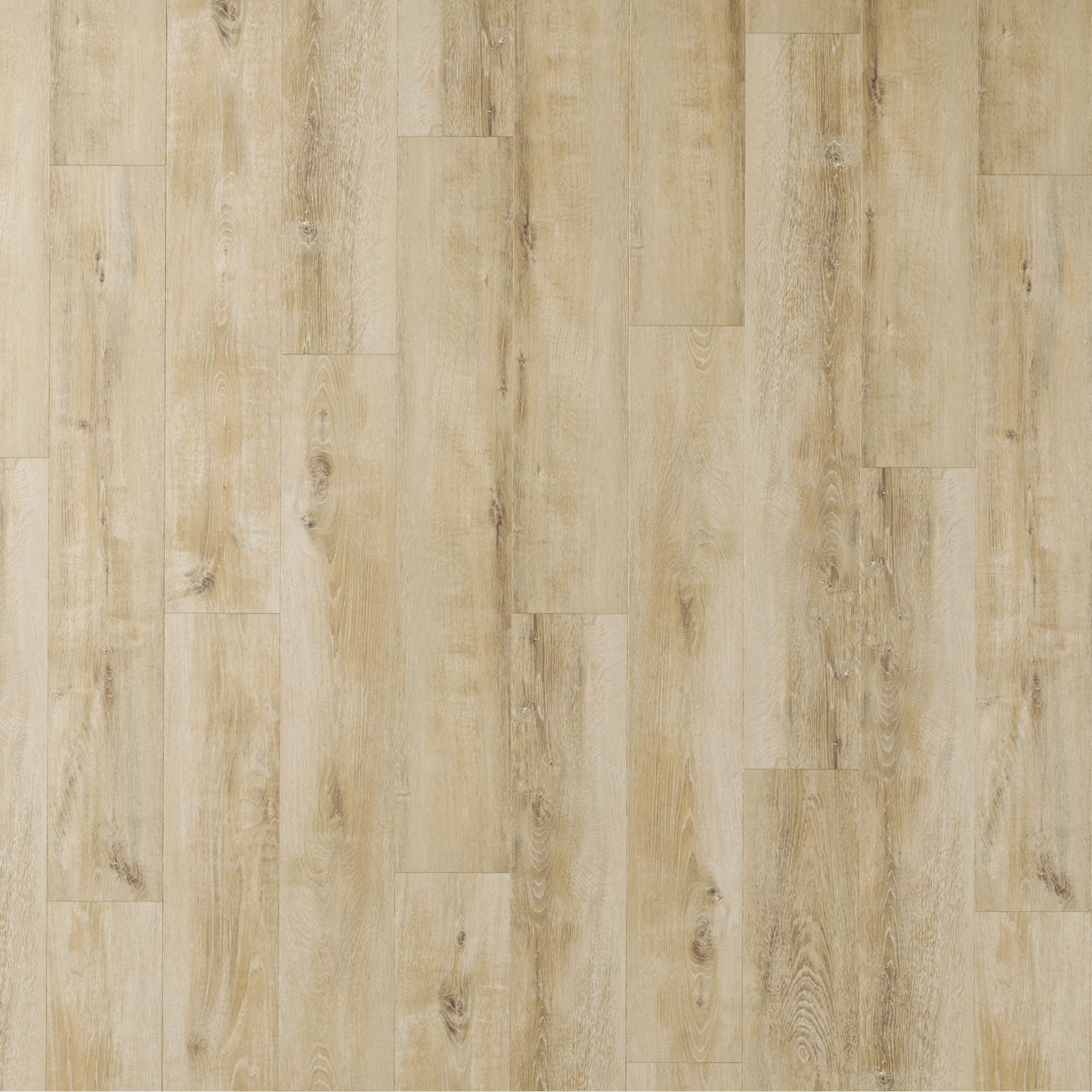 Parchet laminat Bella Neo Gardenia, 8 mm, AC3, CL31, 2.31 mp/cutie, stejar
