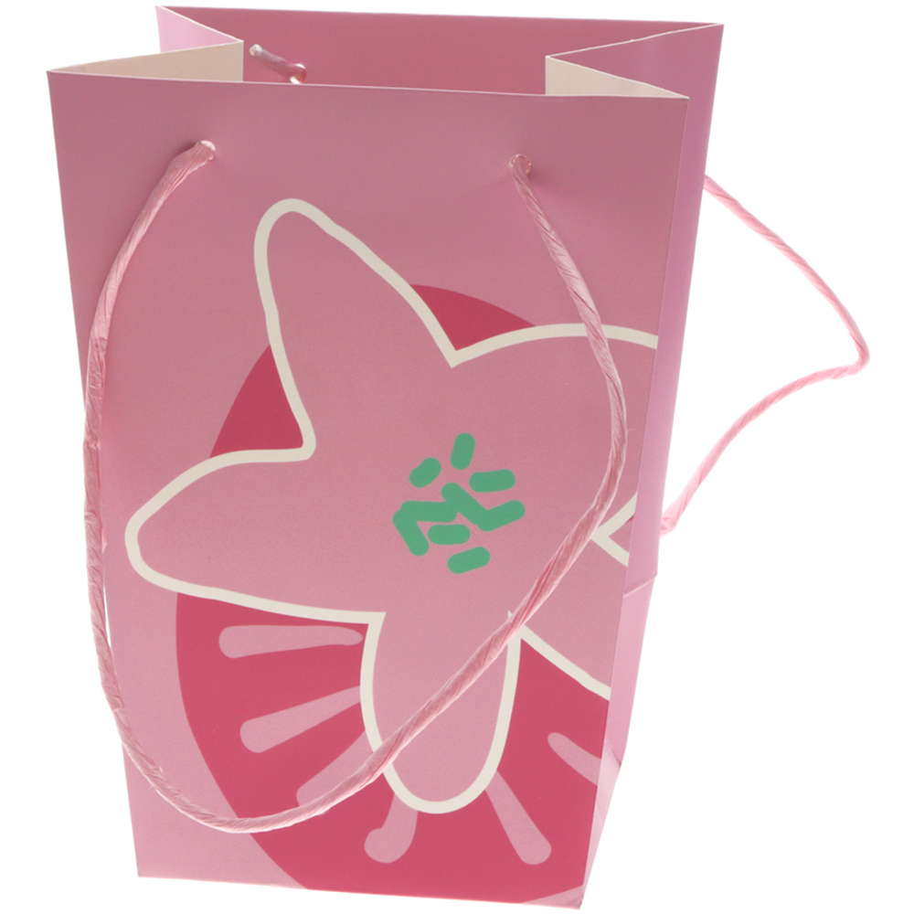 Punga pentru plante Boom Bloom, roz