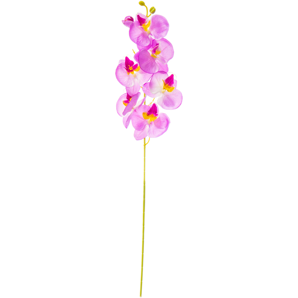Fir orhidee Phalaenopsis artificiala, 7 flori si 1 boboc