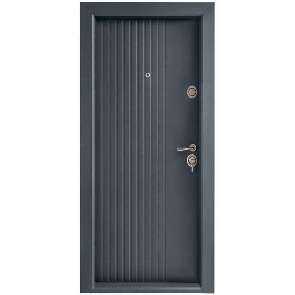 Usa exterior BR10, fara geam, stanga, metal, 88 x 205 cm, antracit