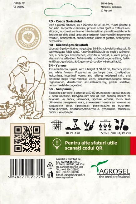 Coada Soricelului