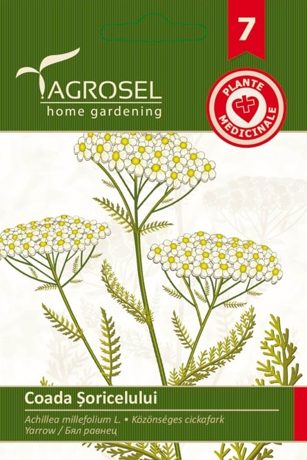 Coada Soricelului