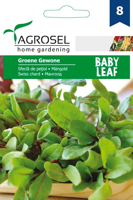 Seminte sfecla de petiol Groene Gewone AGROSEL, 5.15 g