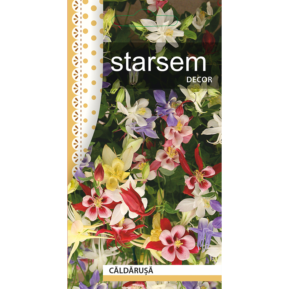 Seminte Caldarusa STARSEM, multicolor
