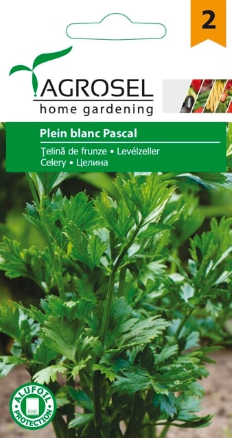 Seminte telina de frunze Pascal Giant AGROSEL, 4.35 g