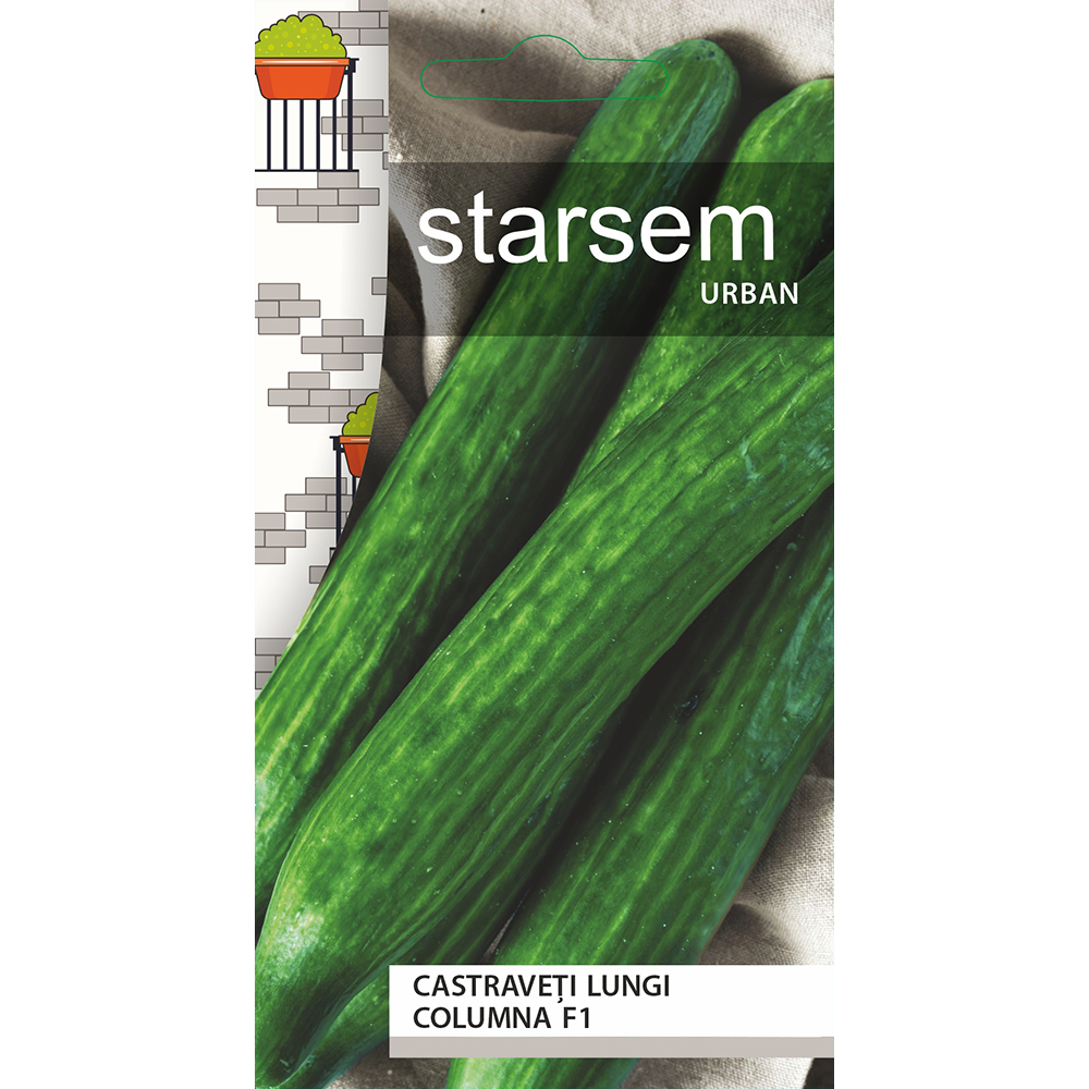 Seminte Castraveti lungi Columna F1 STARSEM