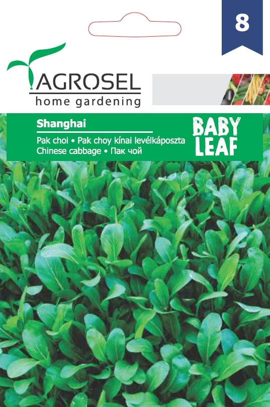 Seminte Pak choi Shanghai AGROSEL, 5.15 g