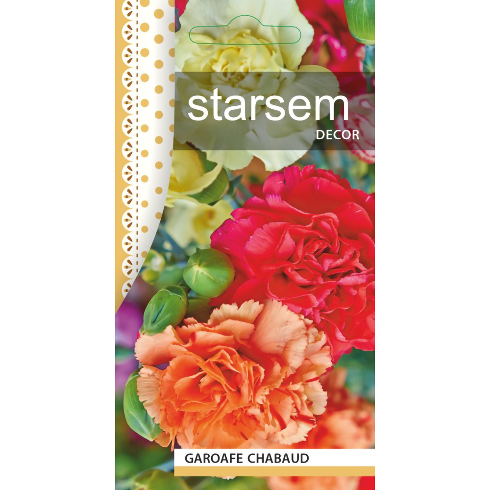 Seminte Garoafe Chabaud STARSEM, multicolor