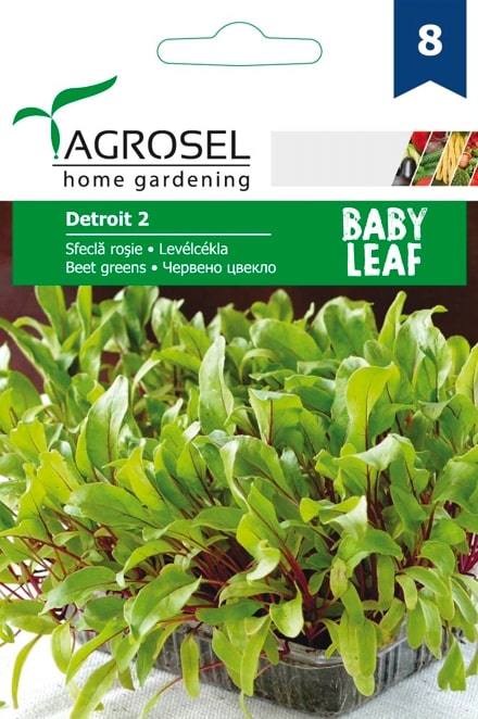 Seminte sfecla rosie Detroit 2 AGROSEL, 5.15 g