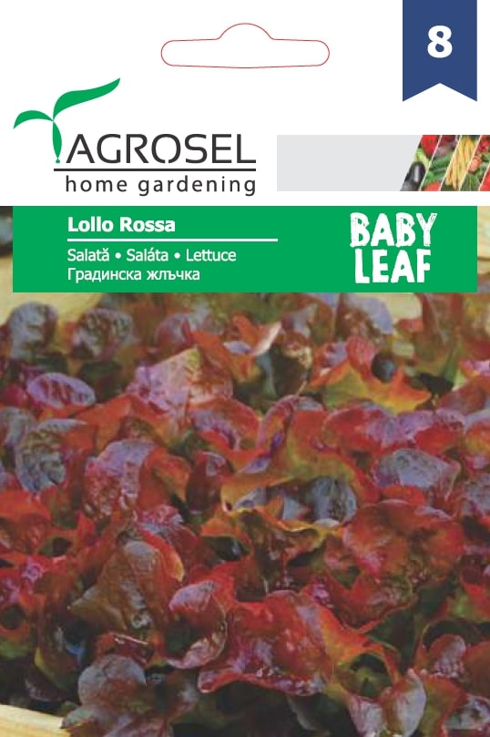 Seminte salata creata rosie Lollo Rossa AGROSEL, 5.15 g