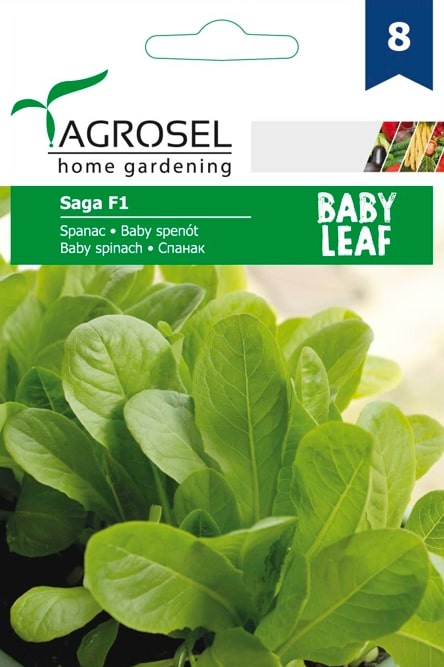 Seminte spanac Saga AGROSEL, 5.15 g