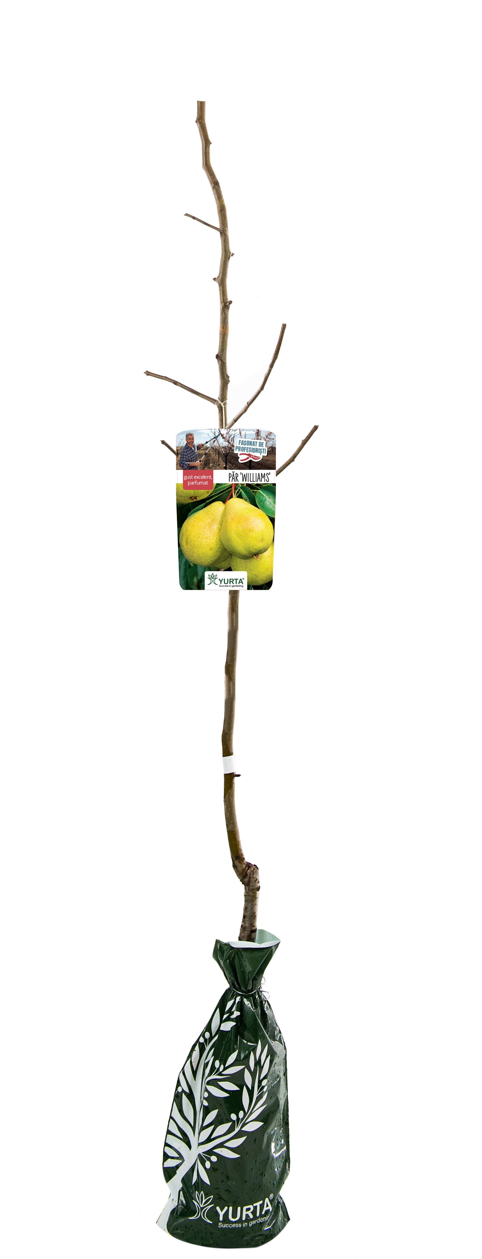 Par Fasonat H120Cm