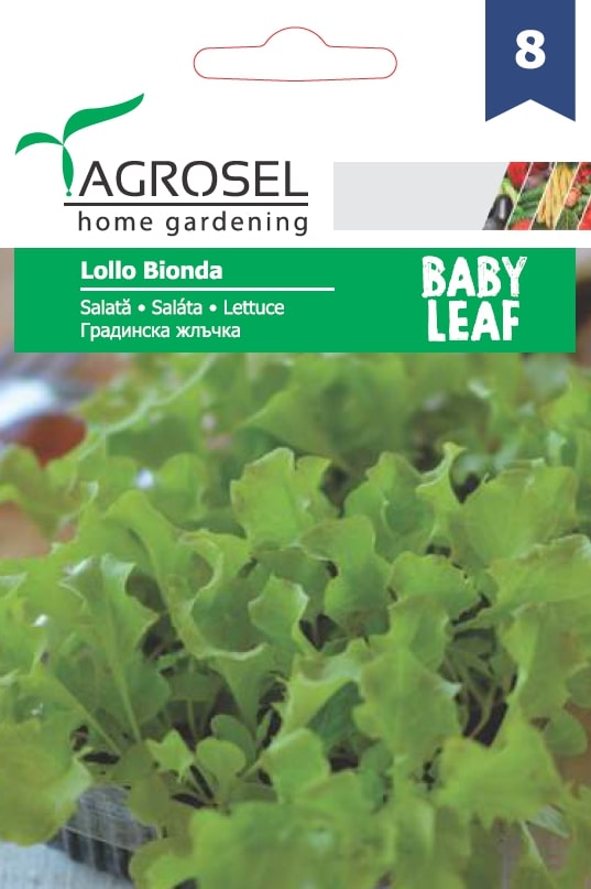 Seminte salata creata alba Lollo Bionda AGROSEL, 5.15 g