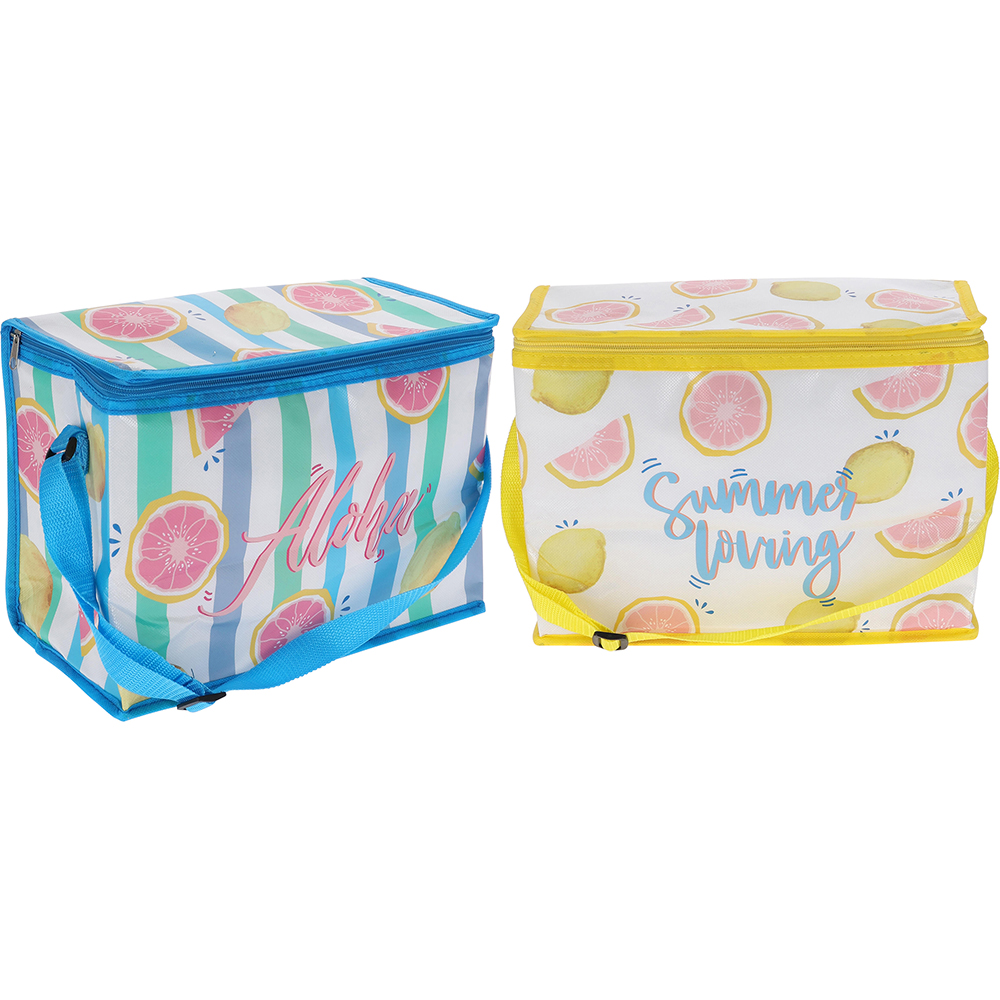 Geanta termica, 10 l, 32 x 16 x 22.5 cm, multicolor