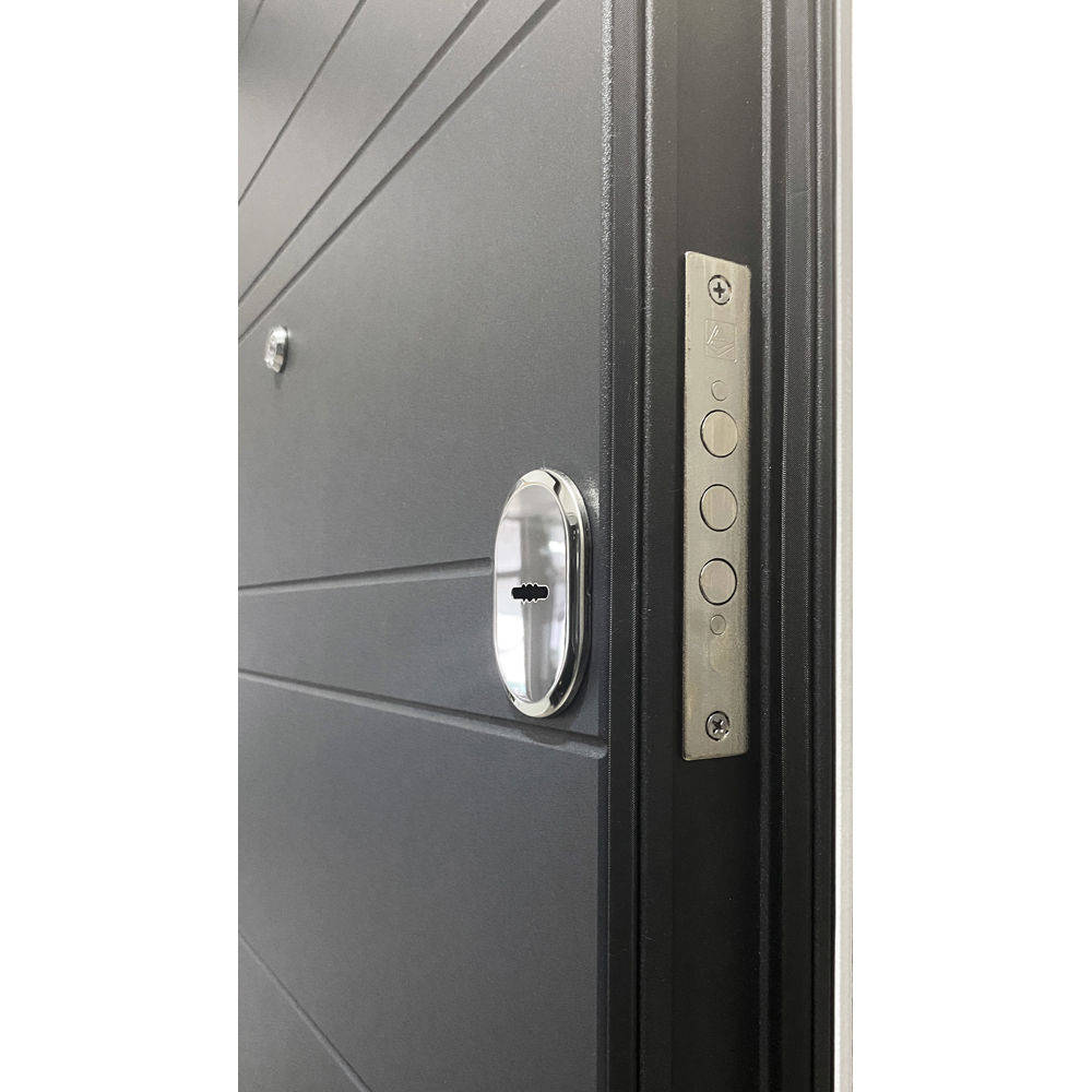 Usa exterior BELLA CASA BC700, fara geam, dreapta, metal, 77 x 194 cm, antracit-alb