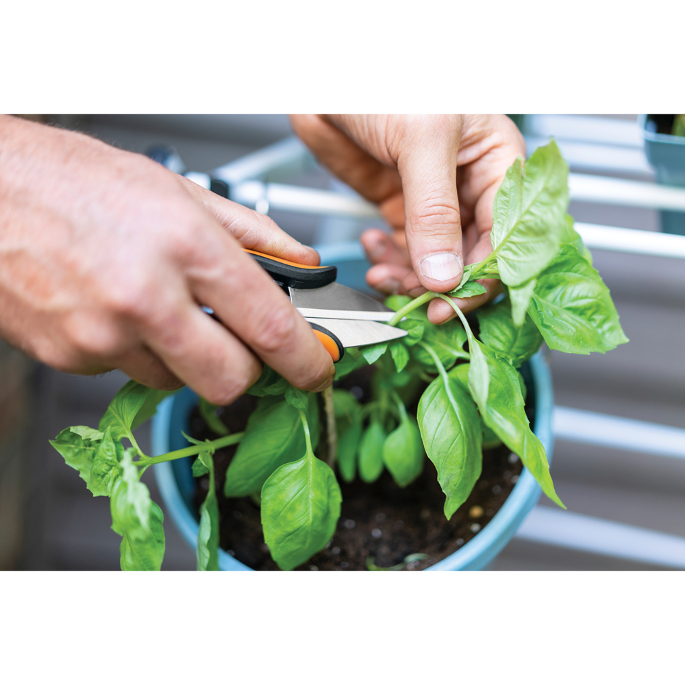 Foarfeca pentru plante aromatice FISKARS SP220 Solid, otel, negru