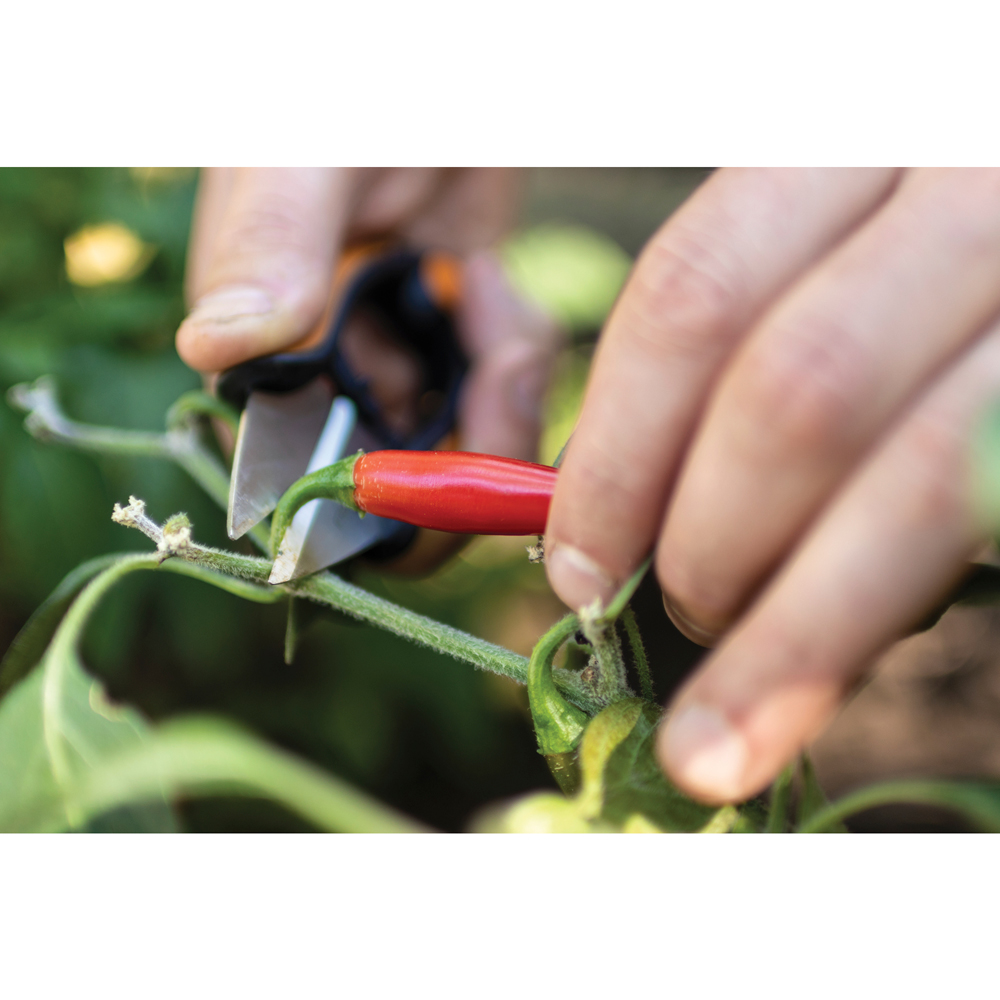 Foarfeca pentru plante aromatice FISKARS SP220 Solid, otel, negru