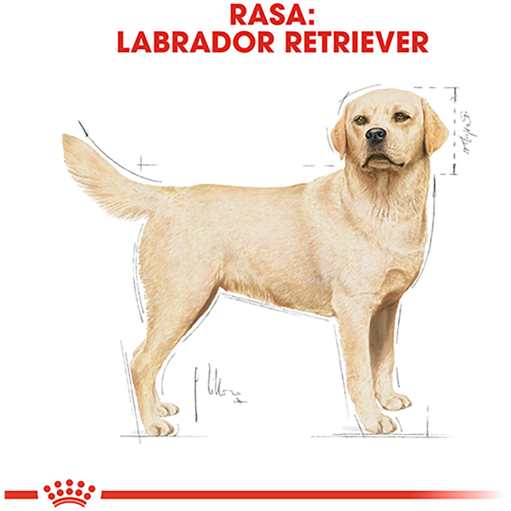 Hrana uscata pentru caini ROYAL CANIN BHN Labrador, Adult, Mix, 12 kg