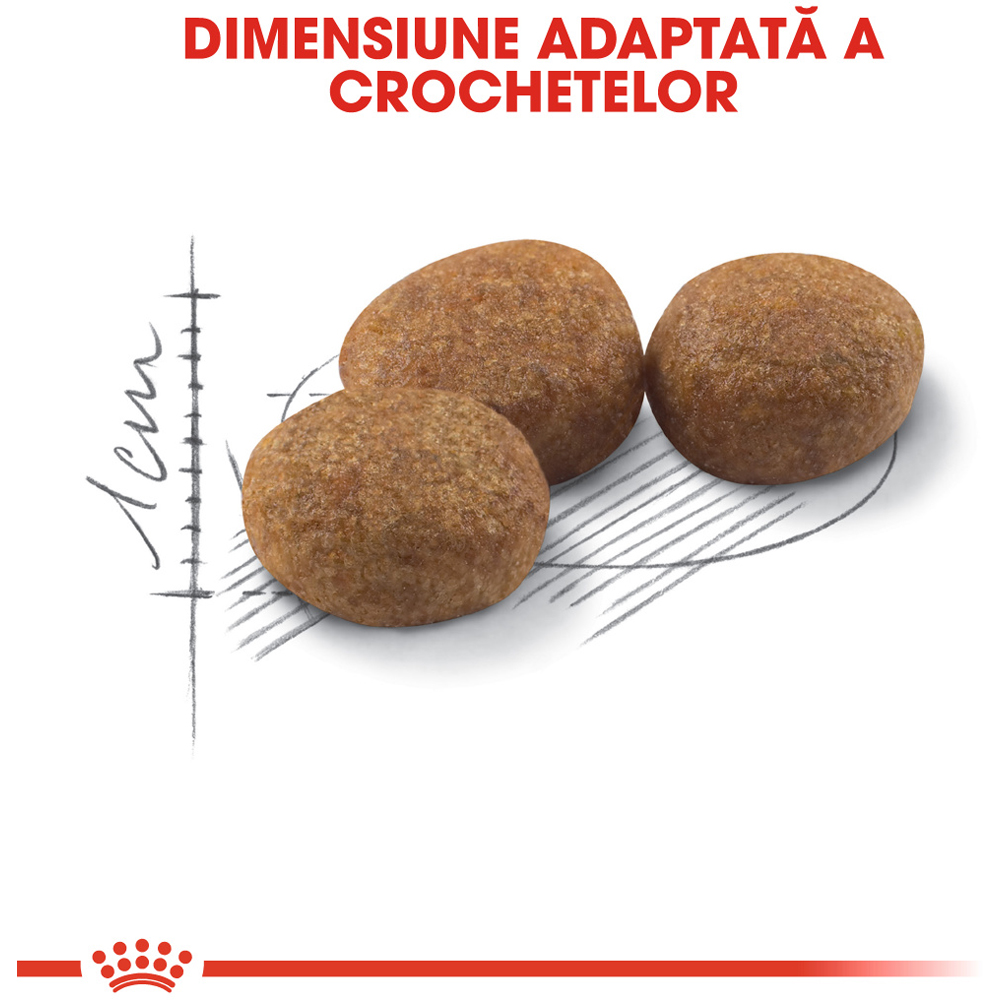 Hrana uscata pentru pisici ROYAL CANIN FHN Sterilised, Adult, Pasare, 400 g