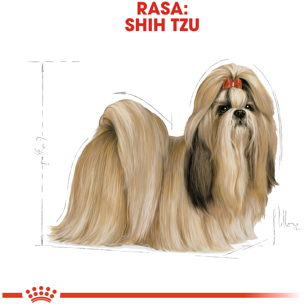 Hrana uscata pentru caini ROYAL CANIN BHN Shih Tzu, Adult, Pasare, 1.5 kg