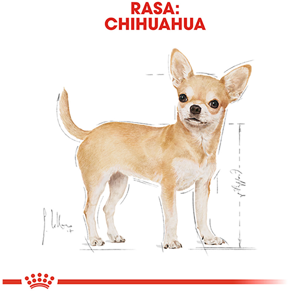 Hrana uscata pentru caini ROYAL CANIN BHN Chihuahua, Adult, Pasare, 1.5 kg
